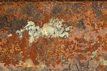 Rost