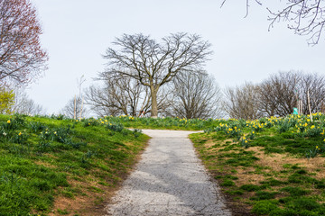 Spring landscape of patterson park with flowers in baltimore maryland