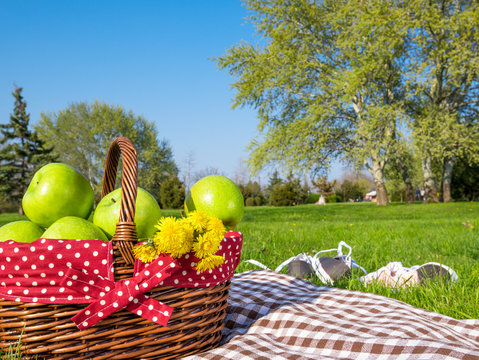 picnic basket and blanket