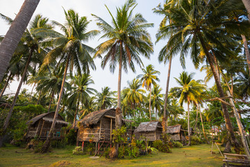 Beautiful tropical forest at island Koh Chang