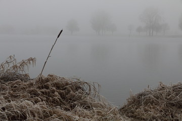 Morgendlicher Nebel am Wasser