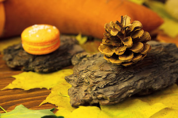 Pine cone and orange macaroon