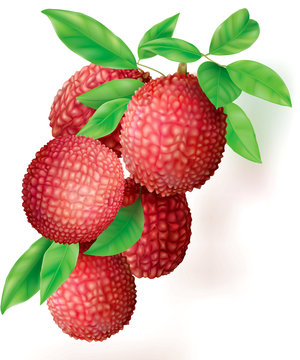 Bunch of ripe Lychees fruits