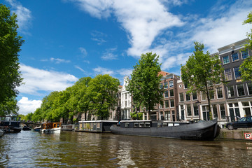 Obraz premium Houses Along Canal