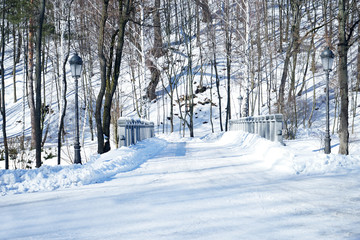 Fototapeta premium Winter road outside city