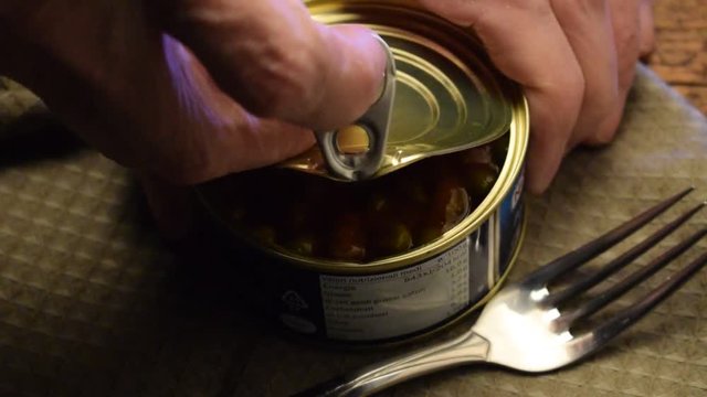 Tuna peas Thunfisch und Erbsen At&uacute;n y guisantes Tonno e piselli التونة والبازلاء le thon et les pois Tuniak a hr&aacute;&scaron;ok тунец и горох c&aacute; ngừ v&agrave; đậu H&agrave; Lan טונה ואפונה