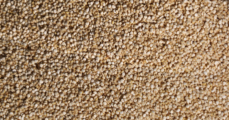 background of small quinoa seeds after harvest