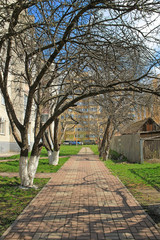 Spring alley