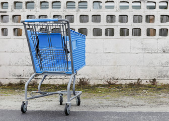 Shopping cart