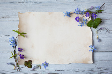 White wooden background with paper blank, letter, congratulation and the first spring flowers