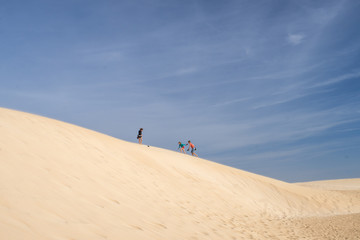 Fototapeta na wymiar Children are playing in sand dunes