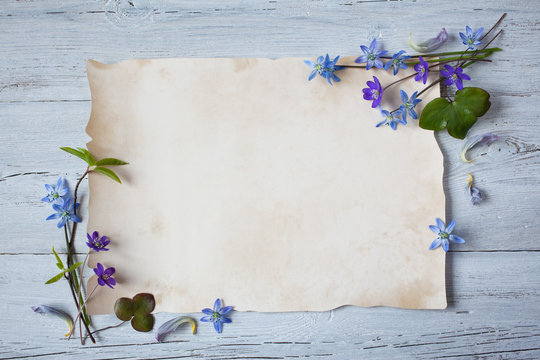 Background With Paper Blank, Letter, Congratulation And The First Spring Flowers