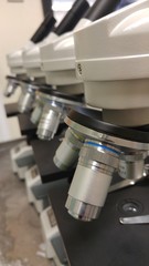 Row of Microscopes