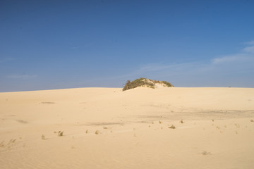 Fototapeta na wymiar Yellow sand dunes and bright blue sky 