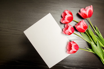 Clean white sheet of paper and pink tulips on a black wooden background. top view, space for text