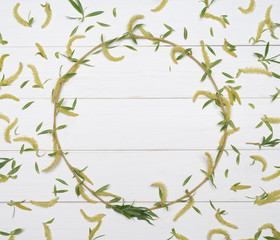 Decorative frame from a tree branch on a white background