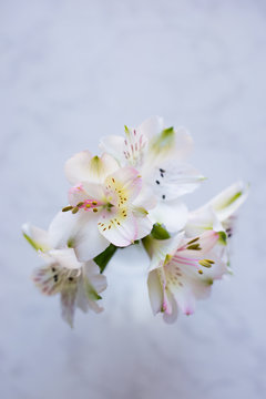 Beautiful tender bouquet of Alstroemeria on white marble background