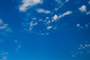 Fototapeta na wymiar photo of gull in sky with clouds and bright sun