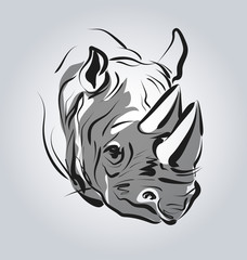 Vector illustration of the head of a rhinoceros