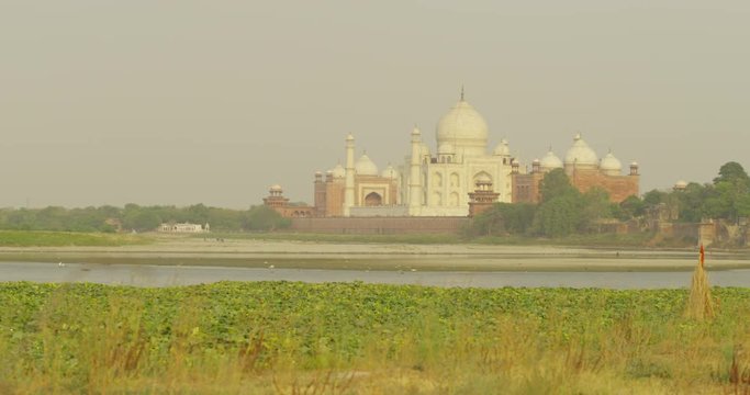 Kakri (Indian Cucumber), and Ghiya (Bottle Gourd) farmers the Taj Mahal
