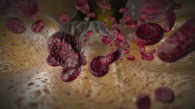 Blood circulation in the bloodstream