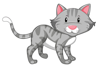 Fototapeta na wymiar Gray cat with happy face