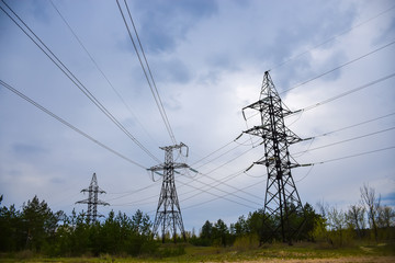 High-voltage supports stand in the middle of a coniferous forest.