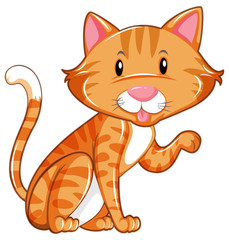 Cute cat sitting alone