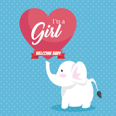 baby shower invitation card vector illustration design