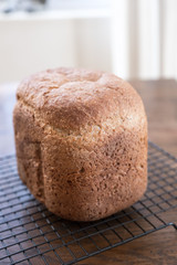 freshly baked loaf of bread
