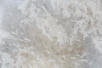 Ice lines the stream flowing