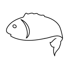 Fish sea animal symbol icon vector illustration graphic design