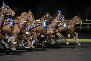 course de chevaux en filé