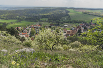 Fototapeta na wymiar Spring near Klentnice village in Palava area
