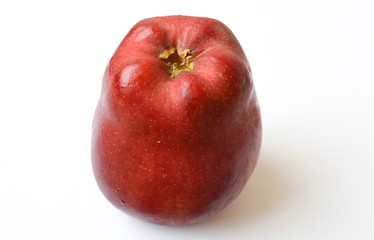 red apple isolated on white