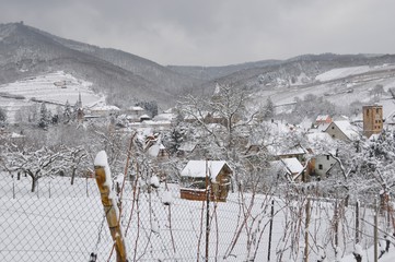 Snow in the Vineyard