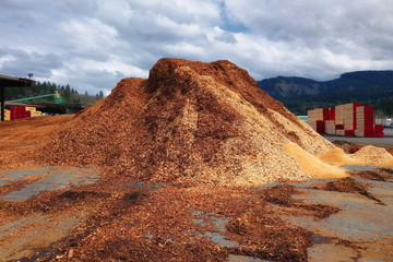 One big pile of sawdust at a saw mill in Oregon.