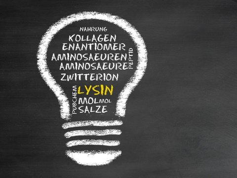 Lysin