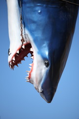 Fototapeta premium Dead Plastic Shark
