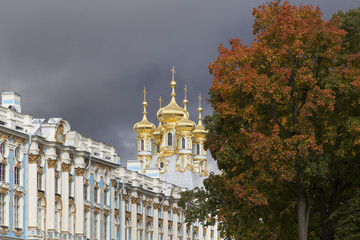 pushkin town landscape in st peterburg