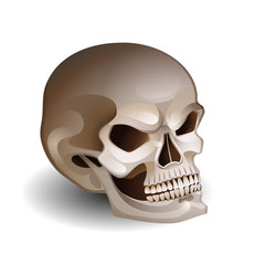 Graphic skull with fearful smile