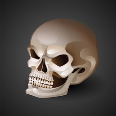 Graphic skull with fearful smile