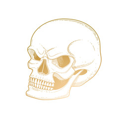 Graphic skull with fearful smile