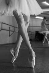 Long legs of ballerina in toeshoe