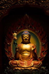 Fototapeta premium buddha statues in temple