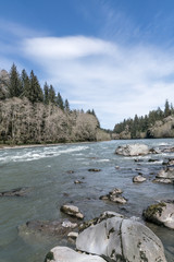 Queets River Afternoon