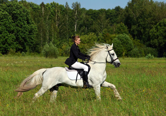 Woman in English riding clothes riding white purebred Arabian stallion 