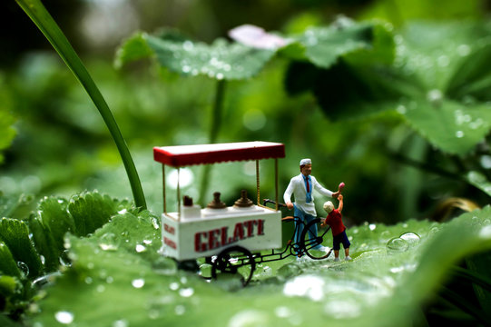 SONY DSC