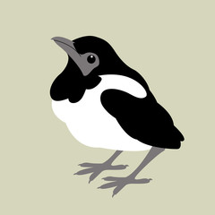 magpie baby  vector illustration style Flat  side