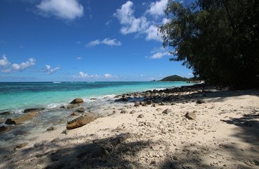 Beach Grand Anse, Praslin Island, Seychelles, Indian Ocean, Africa / The beautiful white sandy beach is bordered by large red granite rocks. 
